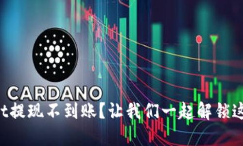 TPWallet提现不到账？让我们一起解锁这道谜题！