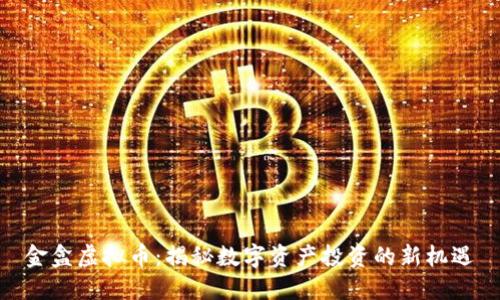 金盒虚拟币：揭秘数字资产投资的新机遇