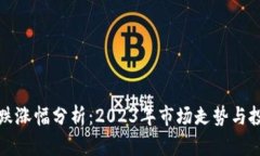 虚拟币跌涨幅分析：2023年