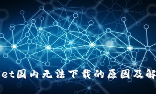 TPWallet国内无法下载的原因及解决方法