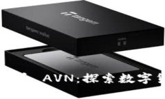 印度电子虚拟币 AVN：探索