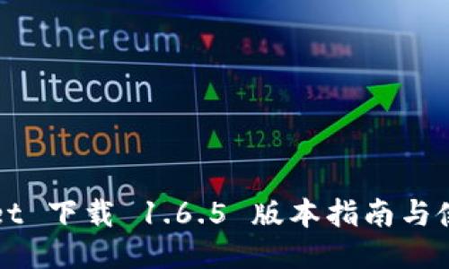 TPWallet 下载 1.6.5 版本指南与使用技巧