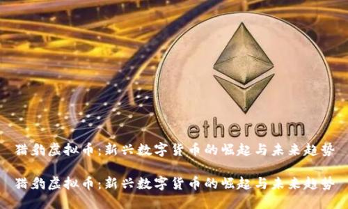 猎豹虚拟币：新兴数字货币的崛起与未来趋势

猎豹虚拟币：新兴数字货币的崛起与未来趋势