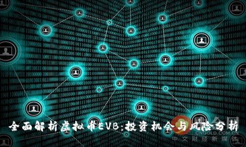 全面解析虚拟币EVB：投资机会与风险分析