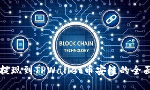 中币提现到TPWallet币安链的全面指南