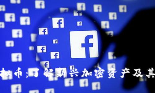 DOGET虚拟币：了解新兴加密资产及其投资潜力