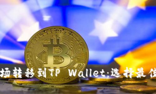 如何将波场转移到TP Wallet：选择最佳网络指南