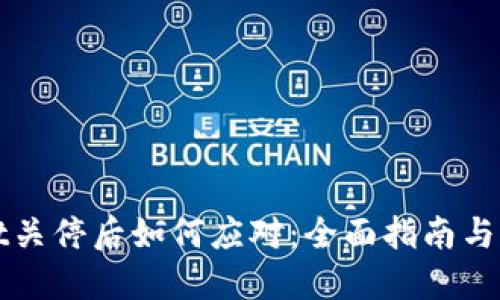 TPWallet关停后如何应对：全面指南与解决方案