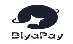 tpwallet：如何通过这款钱包购买未上交易所的数字