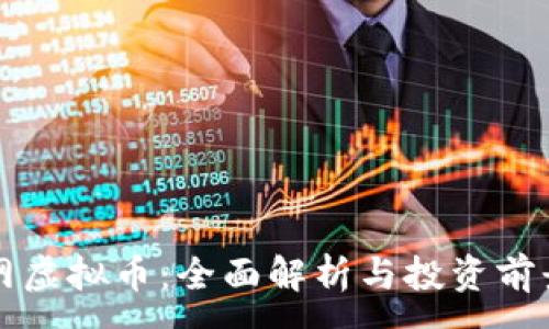 :

审计网虚拟币：全面解析与投资前景分析