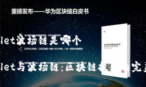 tpwallet波场链是哪个

tpwallet与波场链：区块链技术的完美结合