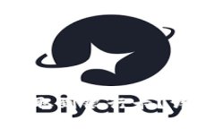 如何将TPWallet提取到银行卡？详细指南与步骤解析