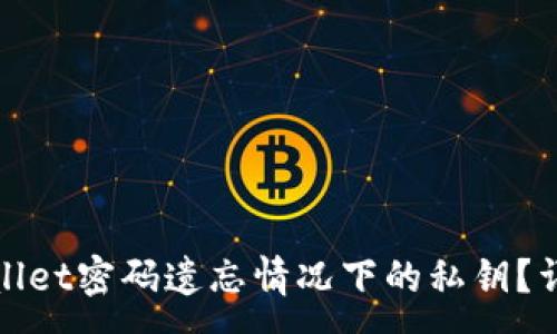 :

如何找回TPWallet密码遗忘情况下的私钥？详解方案与步骤