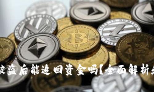 TPWallet被盗后能追回资金吗？全面解析和应对策略