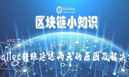 tpwallet转账延迟两天的原因及解决方案