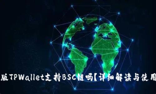 电脑版TPWallet支持BSC链吗？详细解读与使用指南