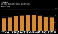 BM币：了解虚拟货币的新机